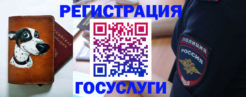временная регистрация в квартире в Костомукше